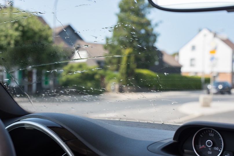 Windshield Replacement Needs: 5 Things to Know 