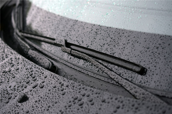 Are Your Windshield Wipers Scratching Your Windshield?